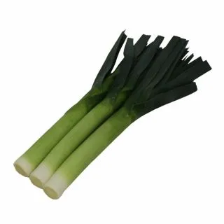 Compra PUERRO EXETER F1 (2.500 Semillas) en la tienda online Fito Agrícola