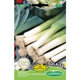 Compra PUERRO AZUL DE SOLAISE (4 gr.). en la tienda online Fito Agrícola