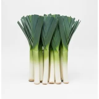 Compra PUERRO GOSTAR F1 (10.000 Semillas) en la tienda online Fito Agrícola