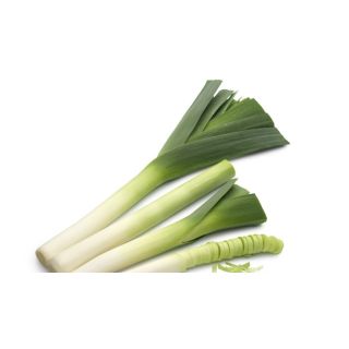 Compra PUERRO LINKTON F-1 Precision (25.000 Semillas) en la tienda online Fito Agrícola