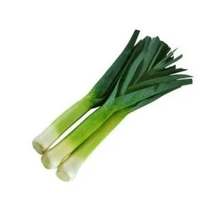 Compra PUERRO NORWICH F1 (2.500 Semillas) en la tienda online Fito Agrícola