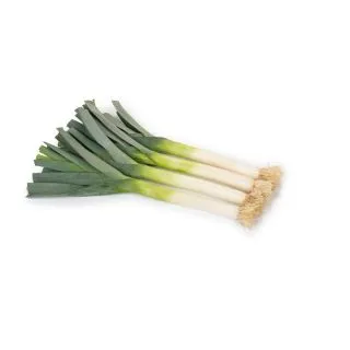 Compra PUERRO RADIATUS RZ F1 Pildorado (5.000 Semillas). en la tienda online Fito Agrícola