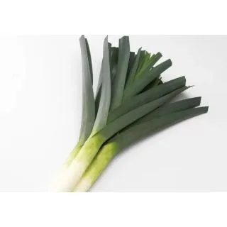 Compra PUERRO SHAFTON F1 Precisión (25.000 Semillas) en la tienda online Fito Agrícola