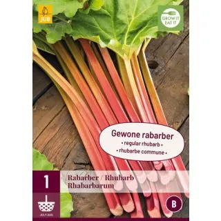 Compra RUIBARBO RHABARBARUM en la tienda online Fito Agrícola