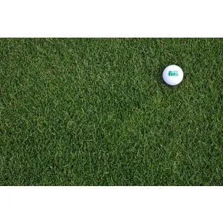 Compra RAY GRASS INGLÉS PROCESS (10 Kgr.). en la tienda online Fito Agrícola