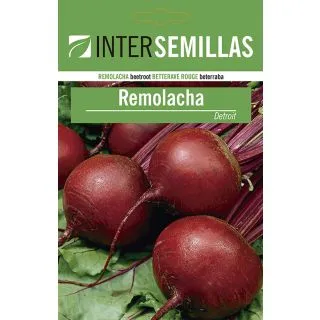 Compra REMOLACHA DETROIT 2 ECOLOGICA (500 gr.) en la tienda online Fito Agrícola