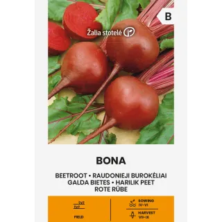 Compra REMOLACHA BONA (10 gr. - Cerca de 400 Semillas). en la tienda online Fito Agrícola