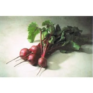 Compra REMOLACHA CARDEAL F1 (50.000 Semillas). en la tienda online Fito Agrícola