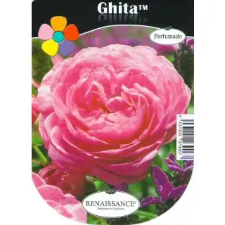 Compra ROSAL GHITA™ en la tienda online Fito Agrícola