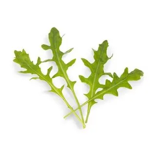 Compra RÚCULA SALVAJE VOYAGER Sin Tratar (1.000.000 Semillas) en la tienda online Fito Agrícola