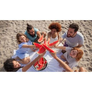 Compra SANDÍA MOON GEM F1 Pregerminada (1.000 Semillas) en la tienda online Fito Agrícola