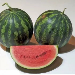 Compra SANDÍA DULCYMINI F1 (5.000 Semillas). en la tienda online Fito Agrícola