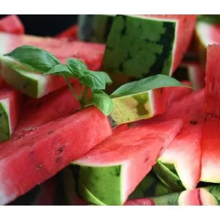 Compra SANDÍA RAYADA CON SEMILLAS (Injertada) M11 en la tienda online Fito Agrícola