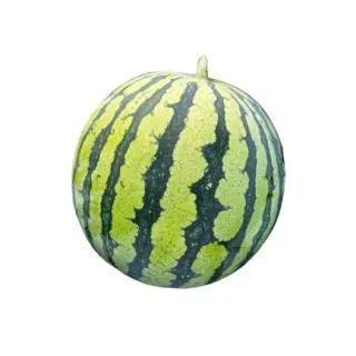 Compra SANDÍA SERRANA F-1 (1.000 Semillas) en la tienda online Fito Agrícola