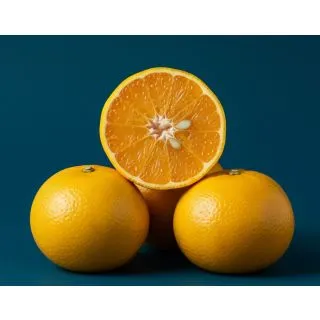 Compra MANDARINO SATSUMO OKITSU - 17 en la tienda online Fito Agrícola