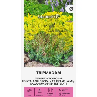 Compra SEDUM REFLEXED STONECROP TRIPMADAM (0,2 gr. - Cerca de 2.000 Semillas). en la tienda online Fito Agrícola