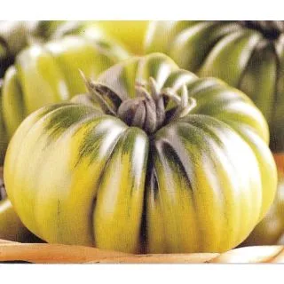 Compra TOMATE FIMANDE F1 (1.000 Semillas) en la tienda online Fito Agrícola