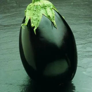 Compra BERENJENA BLACK BELL F1 (1.000 Semillas) en la tienda online Fito Agrícola