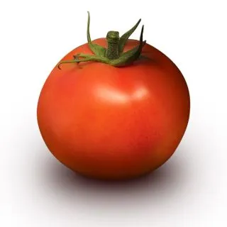 Compra TOMATE SVTH2900 F1 (1.000 Semillas) en la tienda online Fito Agrícola