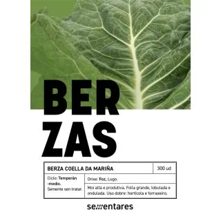 Compra COL BERZA COELLA DA MARIÑA (300 Semillas). en la tienda online Fito Agrícola