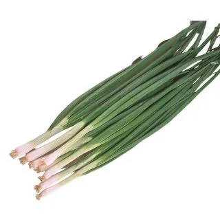 Compra CEBOLLA SUMMER ISLAND F1 Sin Tratar (100.000 Semillas) en la tienda online Fito Agrícola