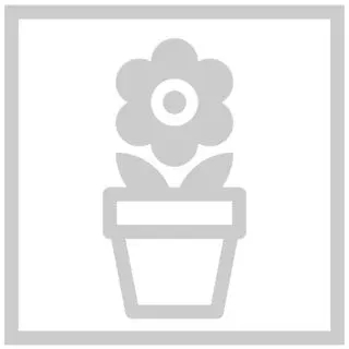 Compra TAGETE ATON ORANGE FLAME Peliculada (1000 Semillas). en la tienda online Fito Agrícola