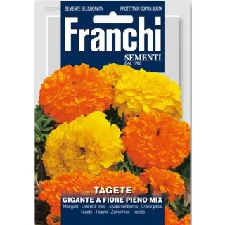 Compra TAGETE GIGANTE DE FLOR LLENA MULTICOLOR (1 gr.) en la tienda online Fito Agrícola