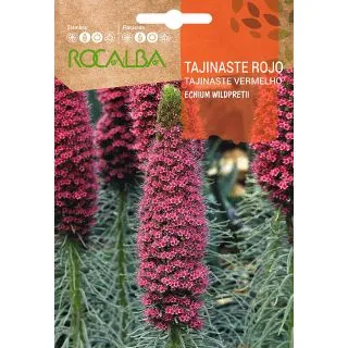 Compra TAJINASTE ROJO (5 Semillas) en la tienda online Fito Agrícola