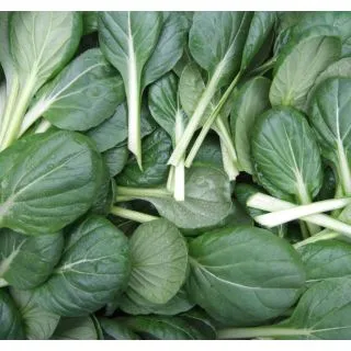 Compra TATSOI BABY LEAF ECOLÓGICO (50 gr.). en la tienda online Fito Agrícola