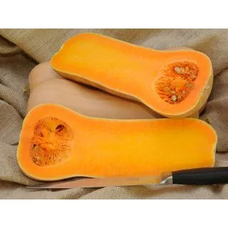 Compra CALABAZA TITAN F1 (1000 Semillas). en la tienda online Fito Agrícola