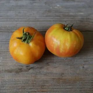Compra TOMATE BIG RAINBOW AB (50 Semillas). en la tienda online Fito Agrícola