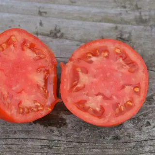 Compra TOMATE BURPEE DELICIOUS AB (50 Semillas). en la tienda online Fito Agrícola