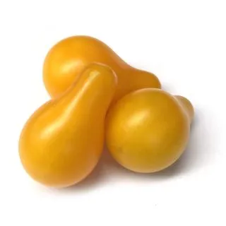 Compra TOMATE CHERRY BOMBILLA M11 en la tienda online Fito Agrícola