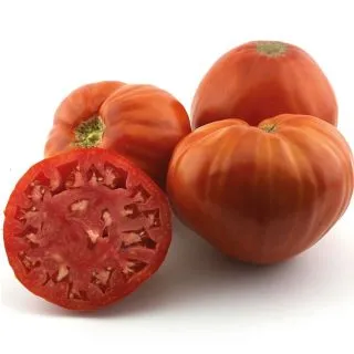 Compra TOMATE CORAZON DE TORO M11 en la tienda online Fito Agrícola