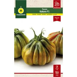 Compra TOMATE KOKORO F1 (1.000 Semillas) en la tienda online Fito Agrícola