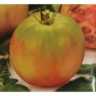 Compra TOMATE OLYMPE (1000 Semillas). en la tienda online Fito Agrícola