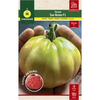 Compra TOMATE SANREMO (Cojon Toro) F1 (1.000 Semillas) en la tienda online Fito Agrícola