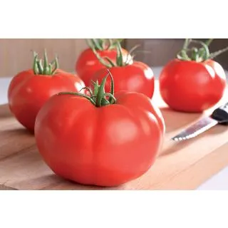 Compra TOMATE SUPERSTEAK F1 (250 Semillas) en la tienda online Fito Agrícola