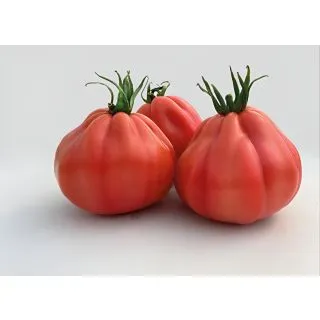 Compra TOMATE BARAIRO F1 (1.000 Semillas). en la tienda online Fito Agrícola