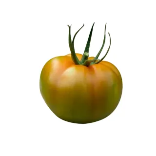 Compra TOMATE BETYCO F1 (1000 Semillas). en la tienda online Fito Agrícola