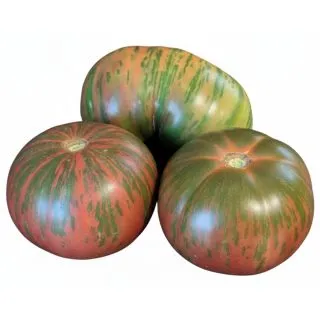 Compra TOMATE CHEROKEE M11 en la tienda online Fito Agrícola