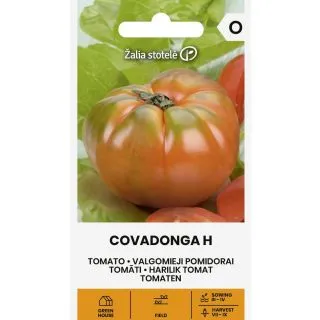 Compra TOMATE COVADONGA F1 (10 Semillas). en la tienda online Fito Agrícola