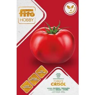 Compra TOMATE CRISOL F1 (70 Semillas) en la tienda online Fito Agrícola