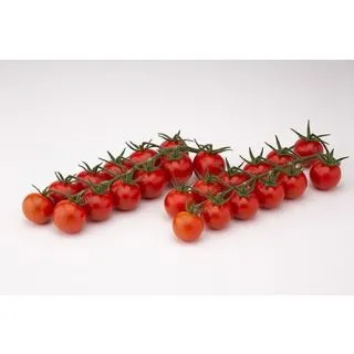 Compra TOMATE CURIOSO F1 (1000 Semillas). en la tienda online Fito Agrícola