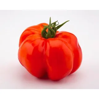 Compra TOMATE EASY TOM RED F1 (1.000 Semillas). en la tienda online Fito Agrícola