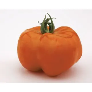 Compra TOMATE EASY TOM ORANGE F1 (1.000 Semillas). en la tienda online Fito Agrícola
