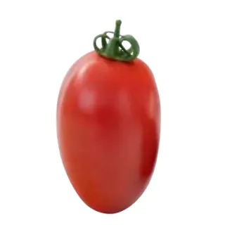 Compra TOMATE ESCAPADE F1 (1000 Semillas). en la tienda online Fito Agrícola