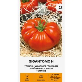 Compra TOMATE GIGANTOMO F1 (10 Semillas). en la tienda online Fito Agrícola