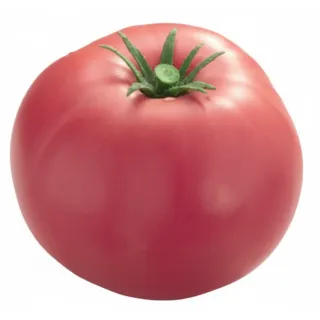 Compra TOMATE HONEY MOON F1 M11 en la tienda online Fito Agrícola