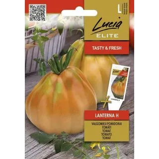 Compra TOMATE LANTERNA F1 (10 Semillas). en la tienda online Fito Agrícola